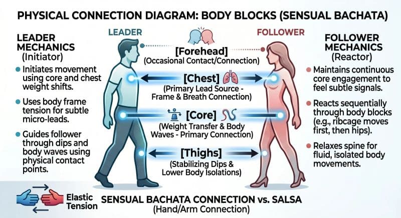 Sensual Bachata Leader and Follower Diagram